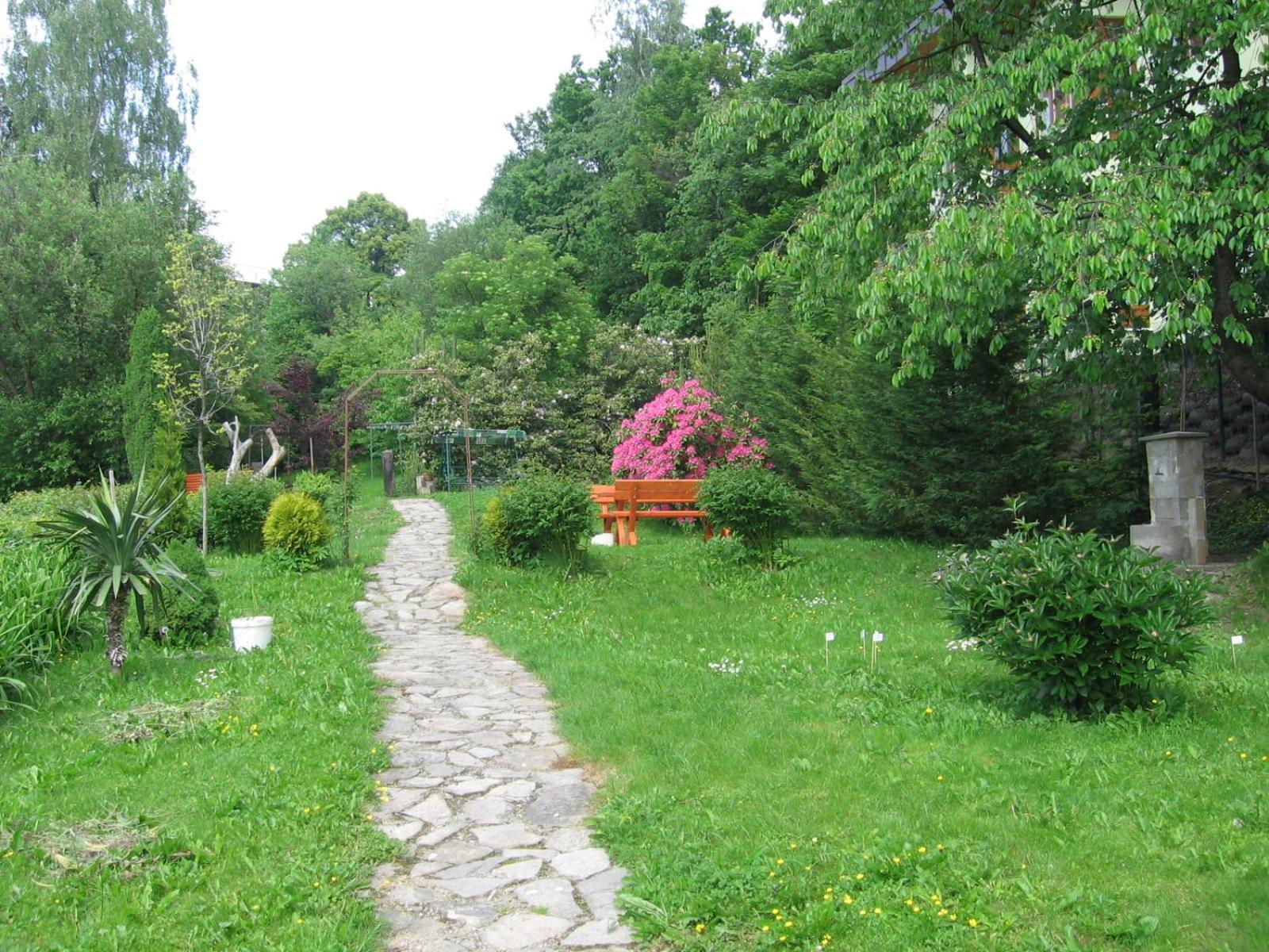 Jasmin *