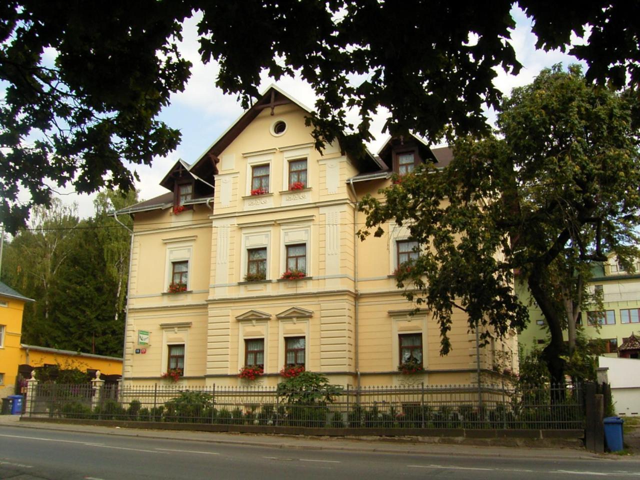 Jasmin * Liberec